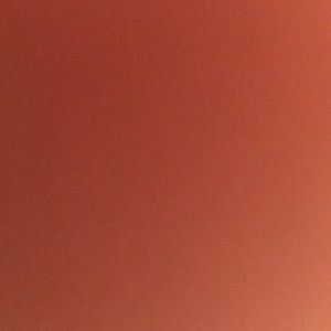 Meet your Posher, Alicia